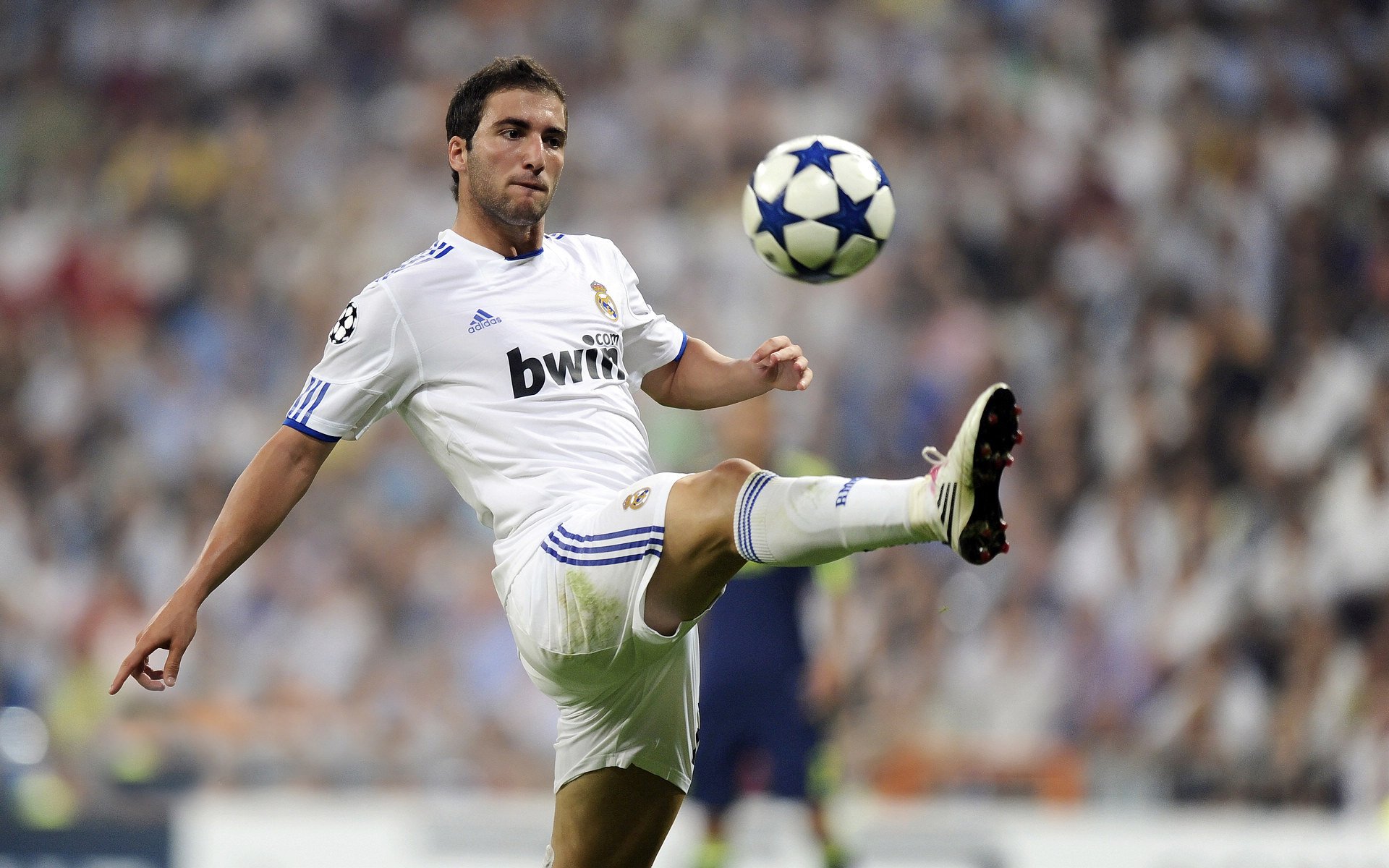 开云体育网址-“德甲球队状态火热，冠军争夺逐渐明朗”，德甲阵营