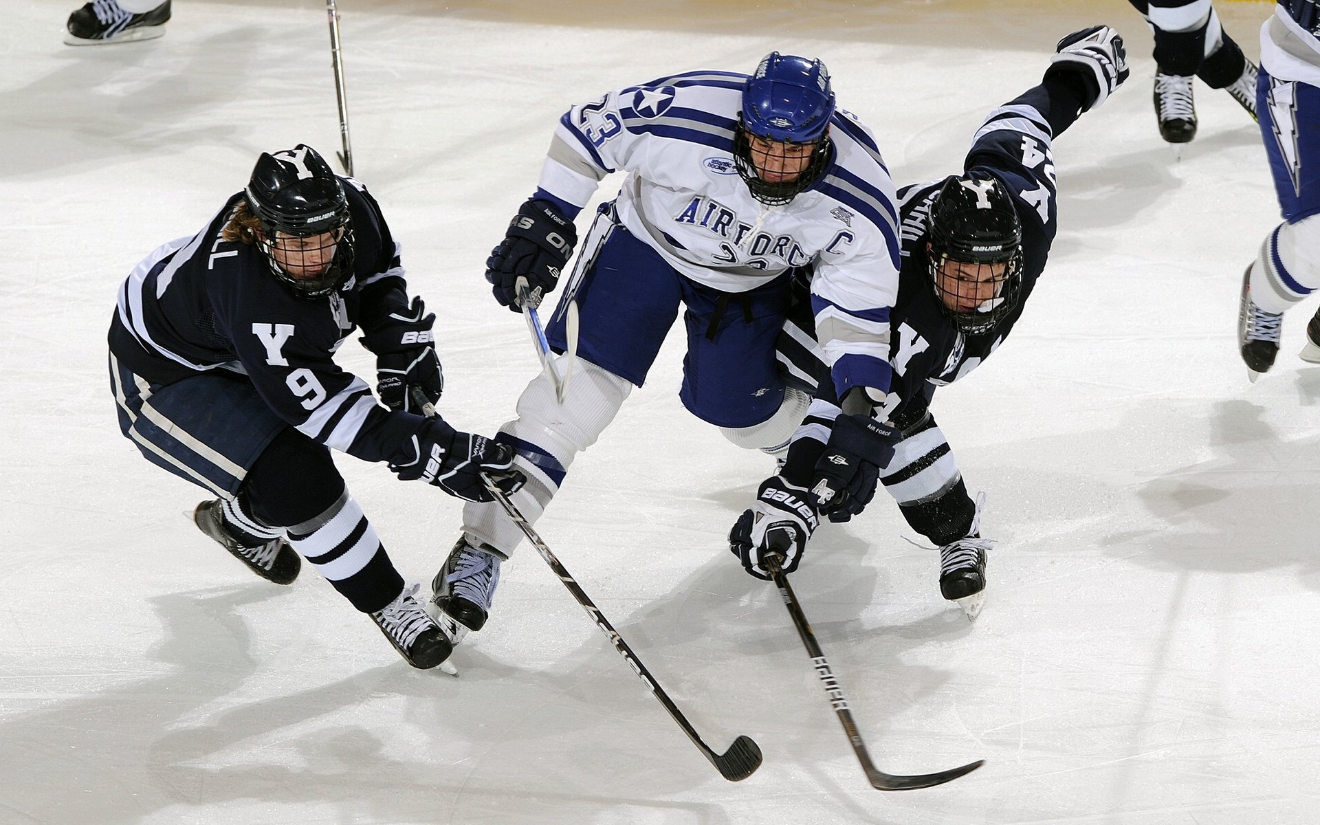 开云注册网址-球员心声：他们对未来的期待与希望，球员平常心